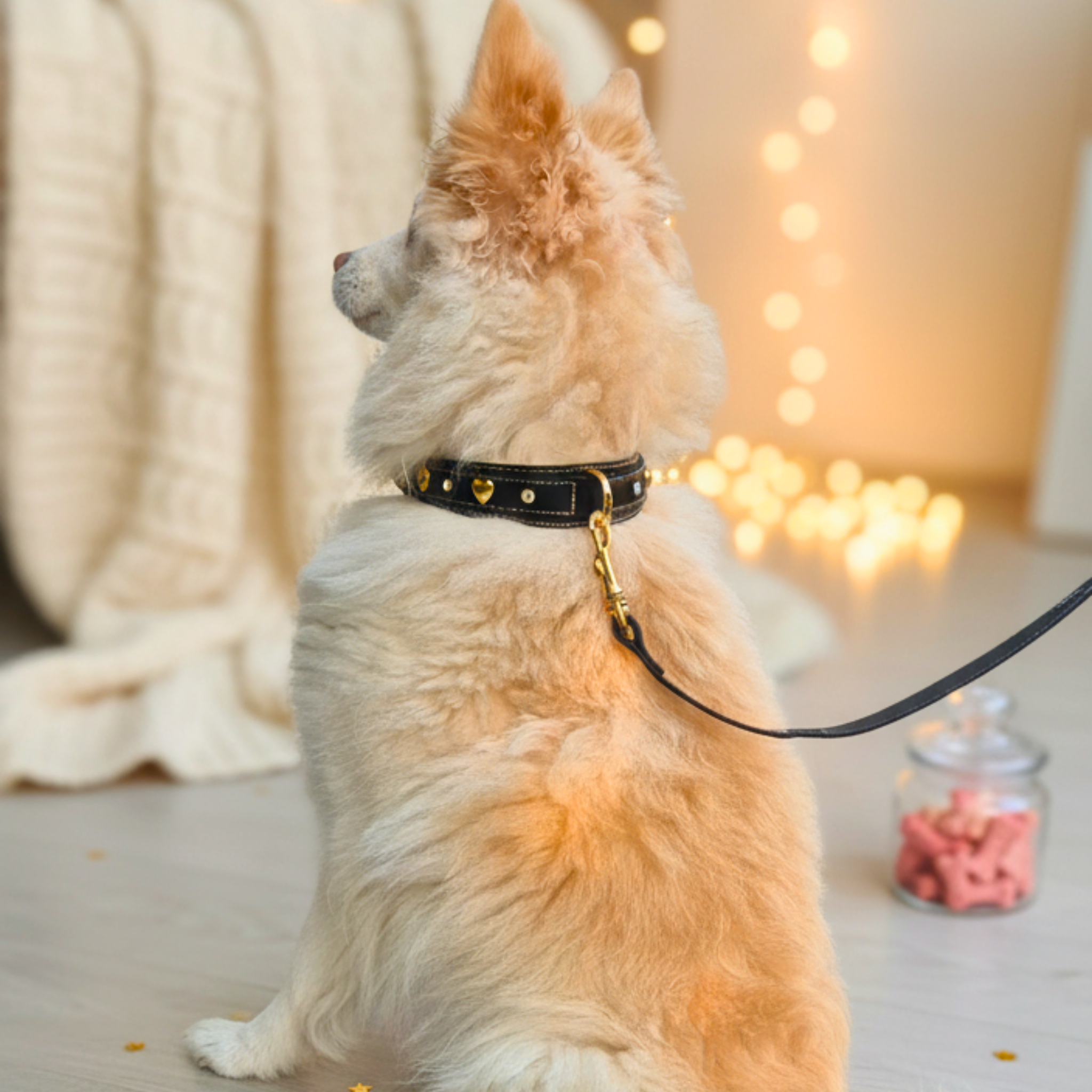 Set Collare con Cristalli e Guinzaglio in Pelle per Cani